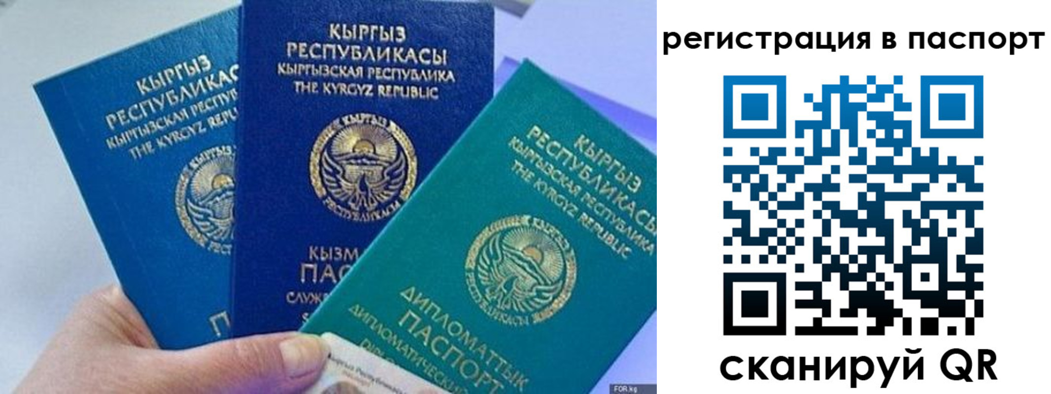 прописка 2025 в Пикалёво